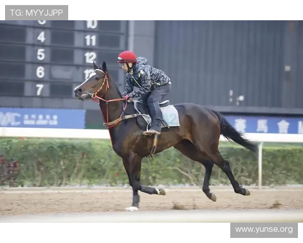 2020澳门赛马赛事时间安排及赛程安排最新信息一览 2020澳门赛马赛事时间安排及赛程安排最新信息一览