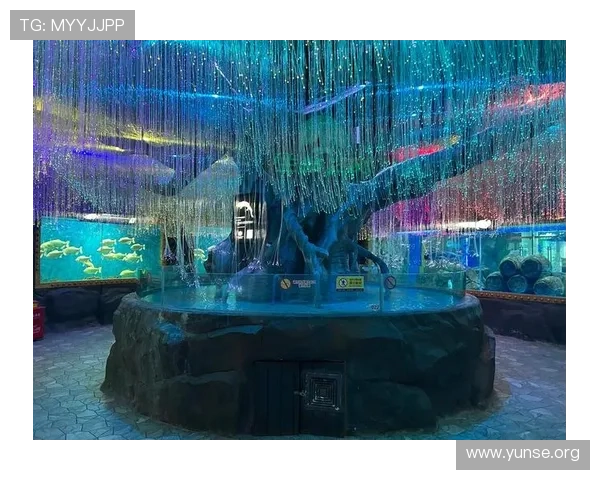 回力海立方官网游戏特色与玩法介绍让你全面了解游戏核心内容与亮点 回力海立方官网游戏特色与玩法介绍让你全面了解游戏核心内容与亮点